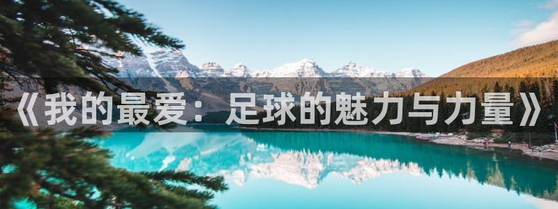 海南3377体育官网下载：《我的最爱：足球的魅力与力
