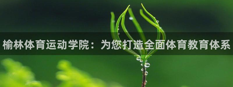 3377体育官网下载官方客服电话：榆林体育运动学院：
