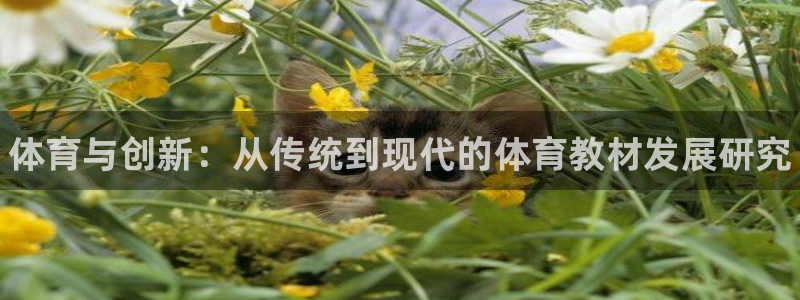 3377体育官方正版app娱乐代理怎么样：体育与创新