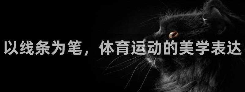 注册3377体育官方正版app：以线条为笔，体育运动