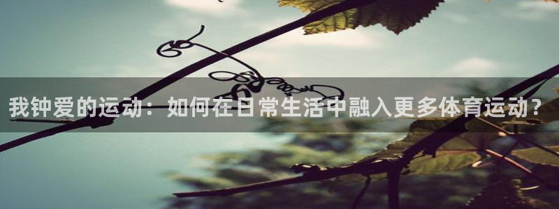 3377体育官网下载招商电话号码是多少啊：我钟爱的运