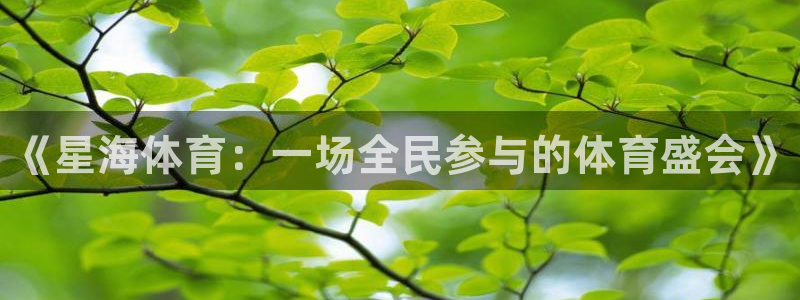 3377体育官方正版app集团：《星海体育：一场全民