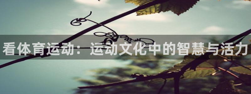 3377体育官方正版app娱乐40996：看体育运动