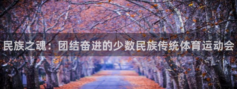 3377体育官网下载软件：民族之魂：团结奋进的少数民