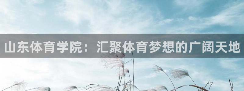 3377体育官网下载：山东体育学院：汇聚体育梦想的广