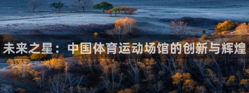 3377体育官方正版app娱乐：未来之星：中国体育运