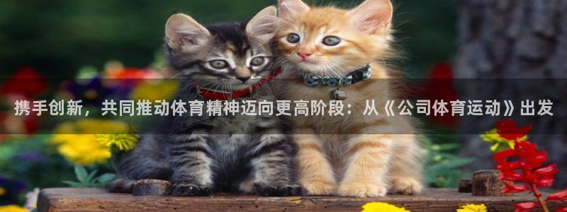 3377体育官网下载平台是正规平台吗知乎：携手创新，