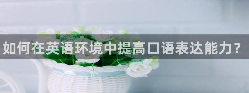 3377体育官方正版app集团E.ON：如何在英语环