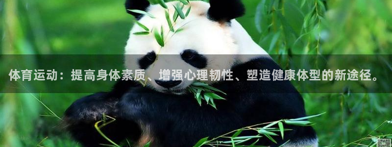 3377体育官网下载招商电话地址查询