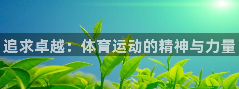 3377体育官方正版app娱乐平台：追求卓越：体育运