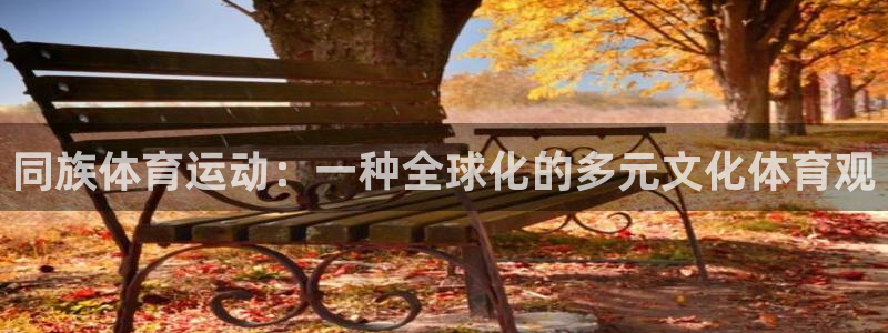 3377体育官方正版app娱乐40996：同族体育运动：一种