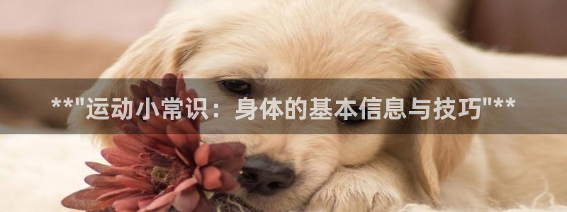 3377体育官网下载娱乐：**\