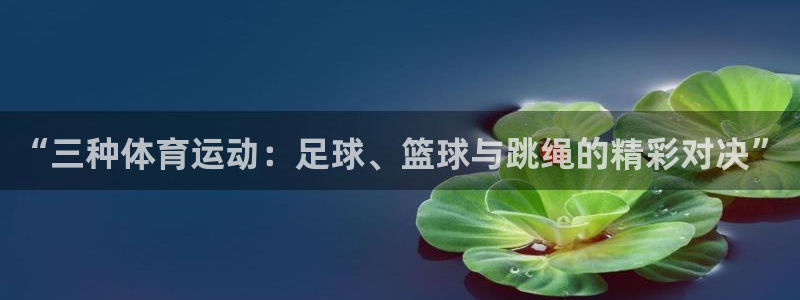 3377体育官网下载：“三种体育运动：足球、篮球与跳绳的精彩