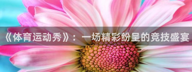 3377体育官网下载
