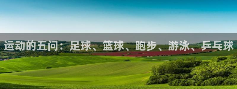 3377体育官方正版app集团logo：运动的五问：足球、篮