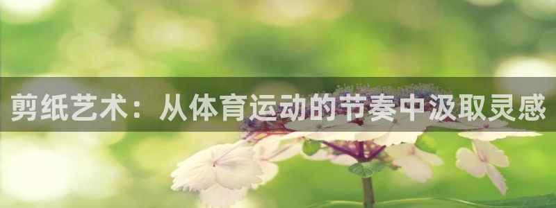 3377体育官方正版app官网