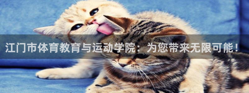3377体育官网下载平台：江门市体育教育与运动学院：为您带来