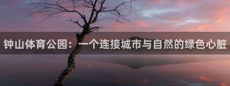 3377体育官网下载平台注册要钱吗安全吗：钟山体育公园：一个