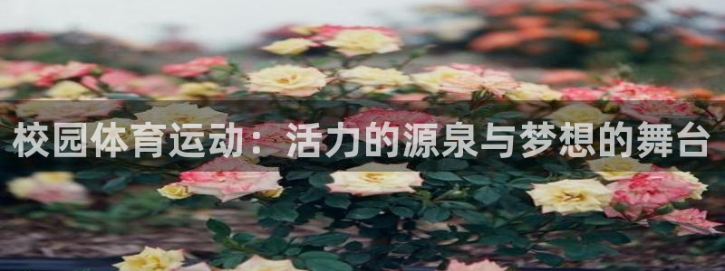 3377体育官方正版app娱乐40996