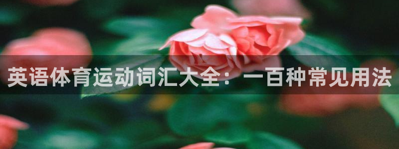3377体育什么台子：英语体育运动词