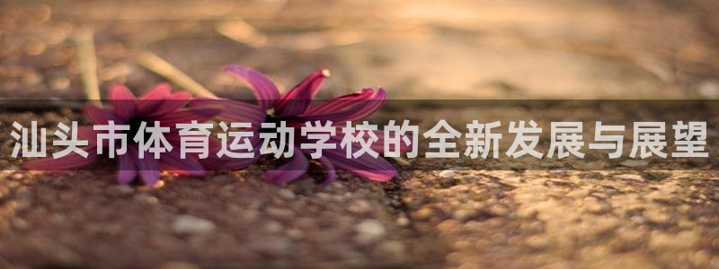 3377体育在哪个国家运营：汕头市体