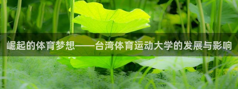 3377体育不出款：崛起的体育梦想—