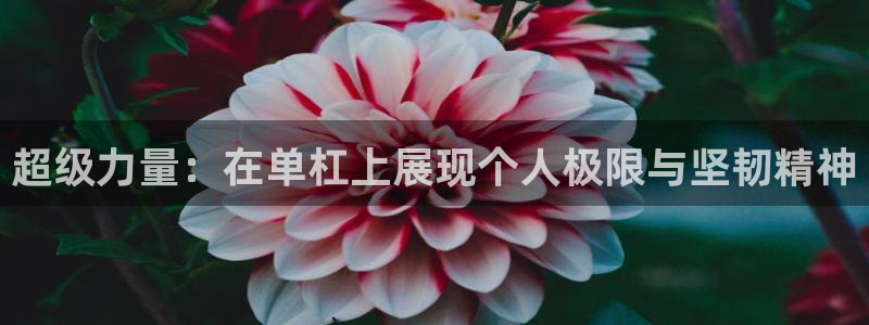 3377体育现在叫什么：超级力量：在单杠上展现个人极限与坚韧