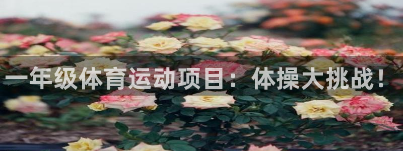  3377体育为什么提不出来：一年级体育运动项目：体操大挑战！