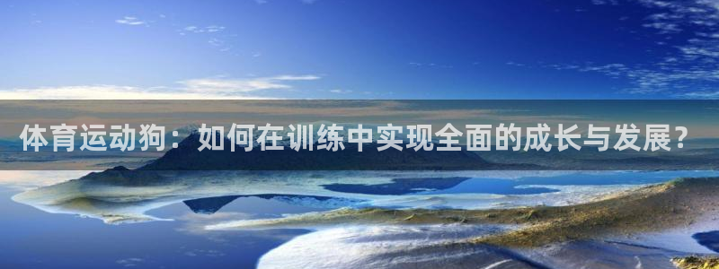  3377体育app倒闭了吗知乎：体育运动狗：如何在训练中实现