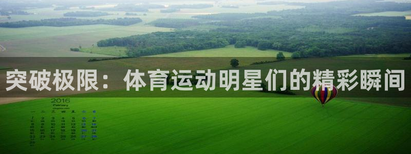  3377体育app倒闭了吗知乎：突破极限：体育运动明星们的精