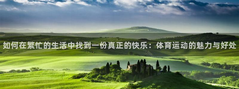 3377体育：如何在繁忙的生活中找到一份真正的快乐：体育运动