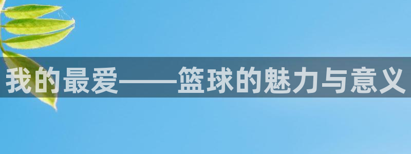  3377体育骗了多少人：我的最爱——篮球的魅力与意义