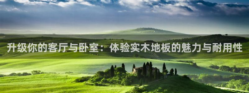 3377体育官网下载：升级你的客厅与