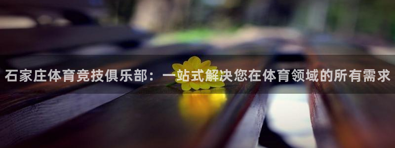 3377体育平台正规吗怎么样：石家庄