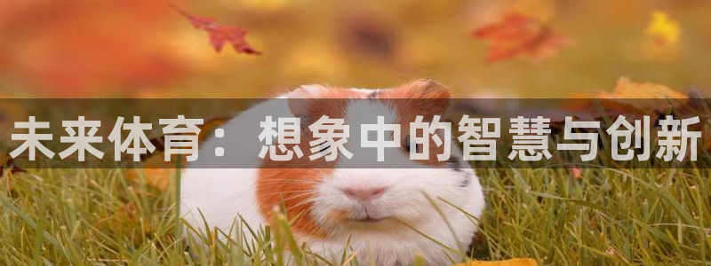 3377体育退款