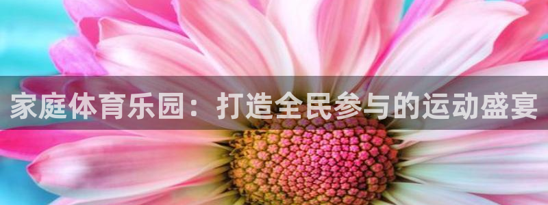 3377体育退款最新政策