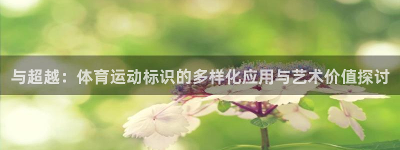 3377体育平台正规吗怎么样